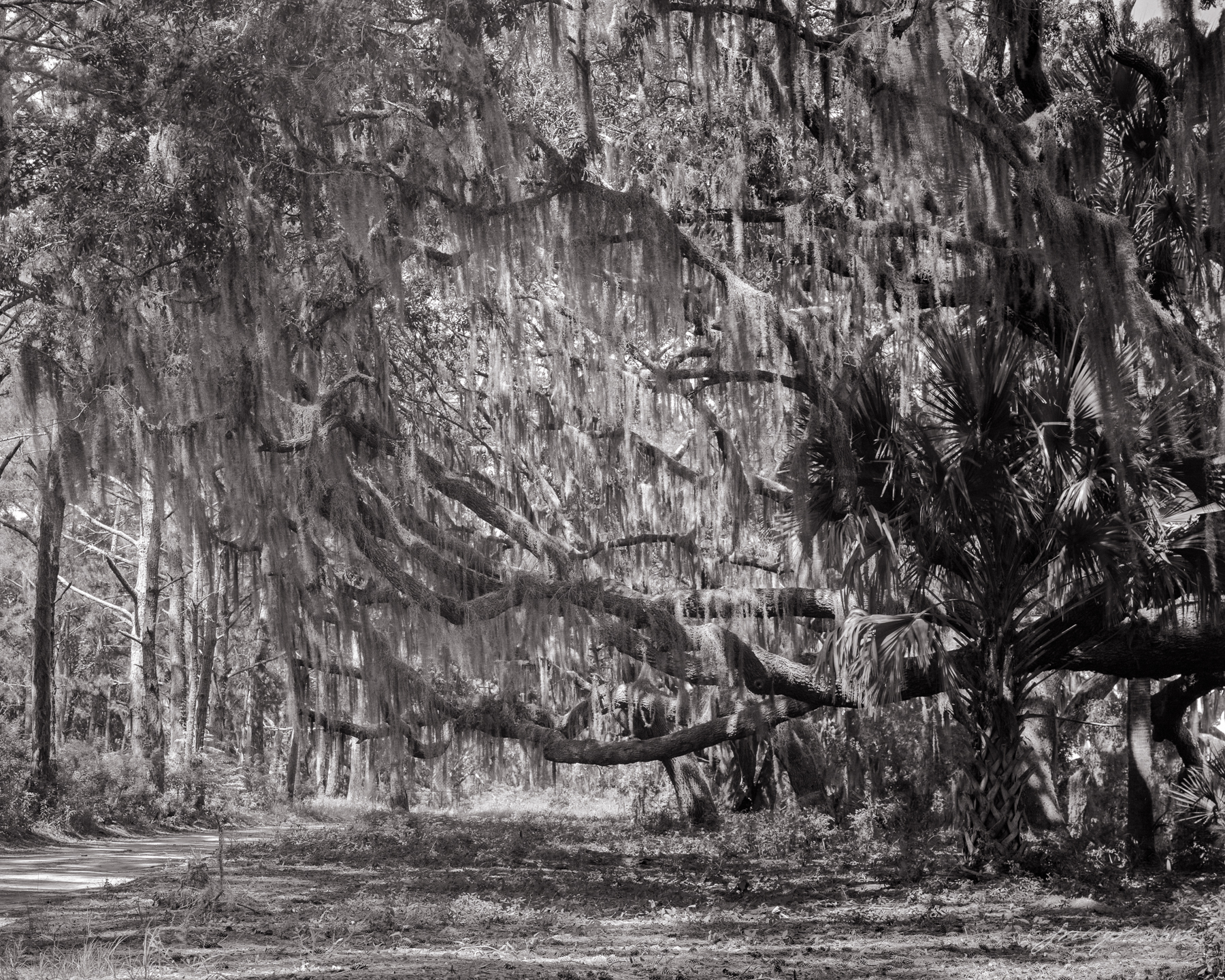 Botany Bay scene